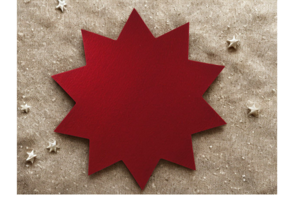 Filz Stern - Durchmesser 45 cm