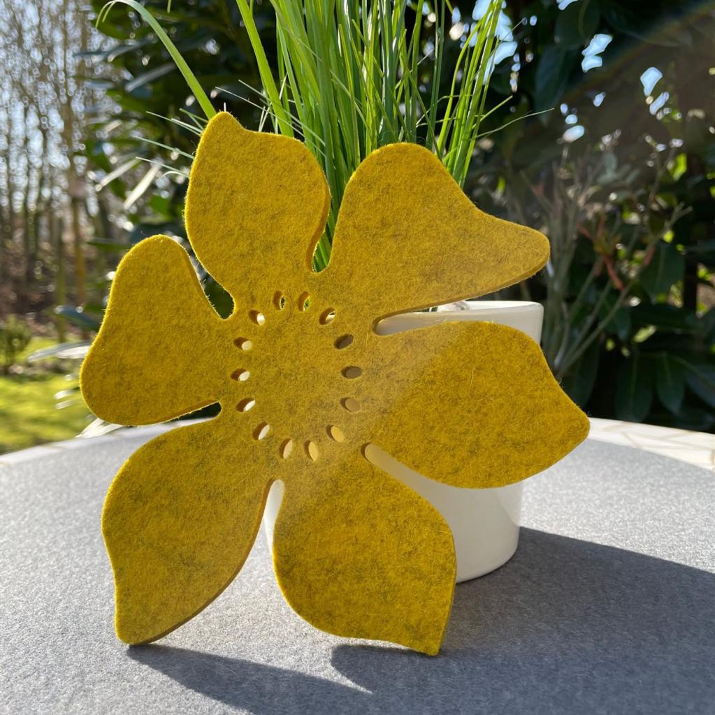 Blume - Farbe: Senf meliert